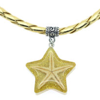 Colar com estrela do mar