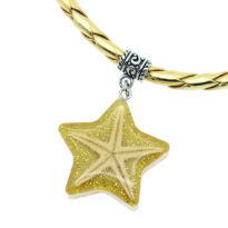 Colar com estrela do mar